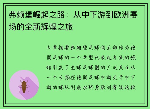 弗赖堡崛起之路：从中下游到欧洲赛场的全新辉煌之旅